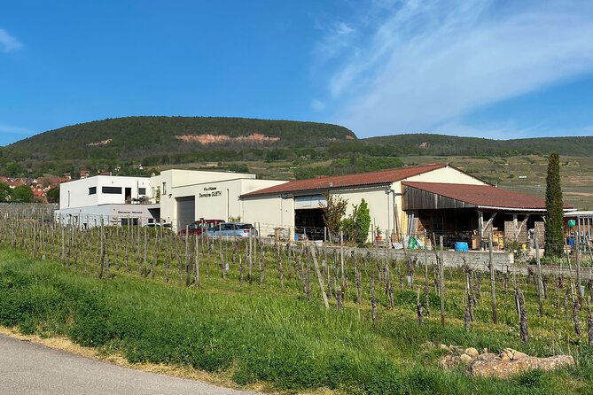 Wine cellar visit and feminine tasting - gourmet formula - Buying bottles after the tasting