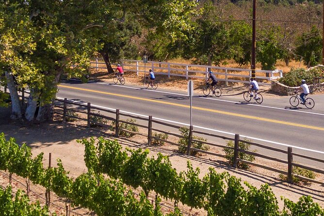 Wine Country E-Bike Guided Tour - w/o Lunch - A short look around Los Olivos
