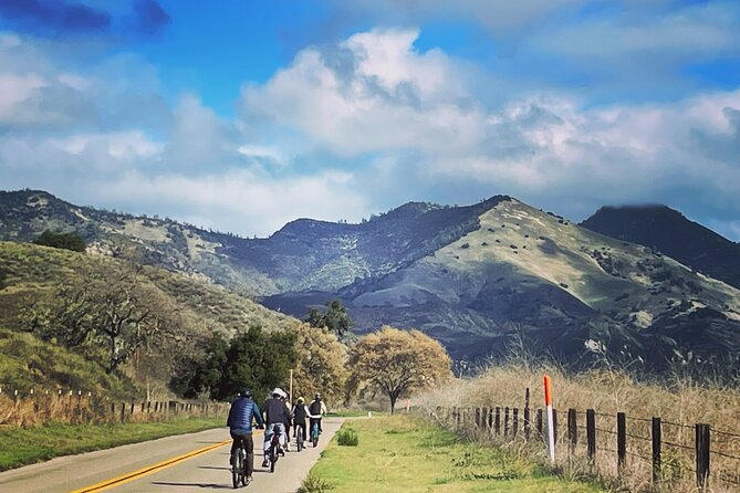Wine Country E-Bike Guided Tour - w/o Lunch - Olive Hill Farm and the tasting beyond wine