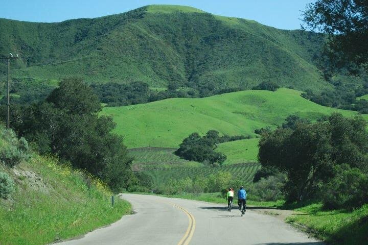 Wine Country Half-Day Bike Tour from Solvang - w/o Lunch - Starting in Ballard at 10:00 AM