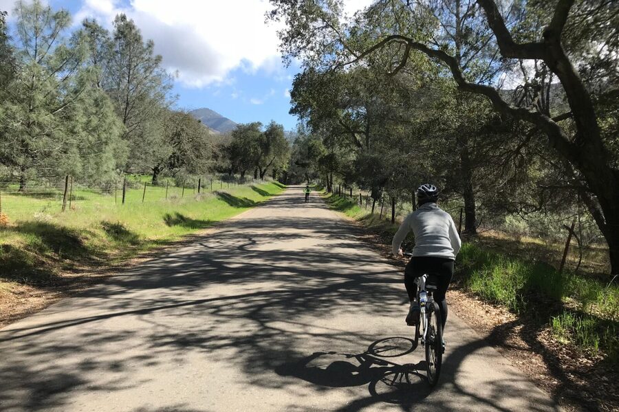 Wine Country Half-Day Bike Tour from Solvang - w/o Lunch - Los Olivos gives the ride its main character