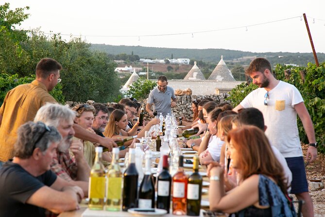 Wine Experience: vineyard, wines and food - Four wines, four small plates