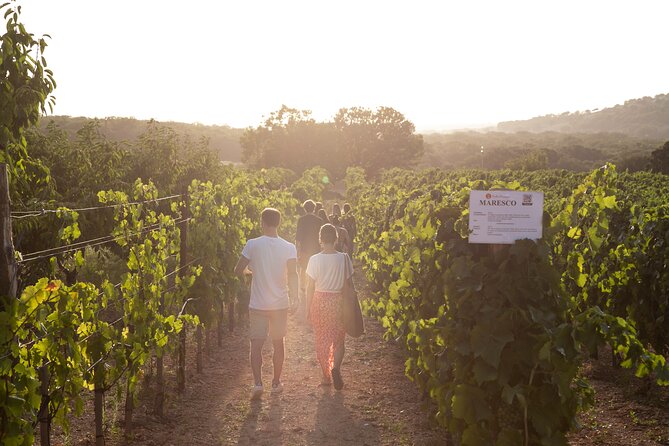 Wine Experience: vineyard, wines and food - A friendly table with an international feel