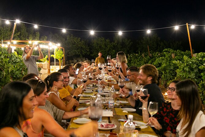 Wine Experience: vineyard, wines and food - Is $35.09 a fair price?