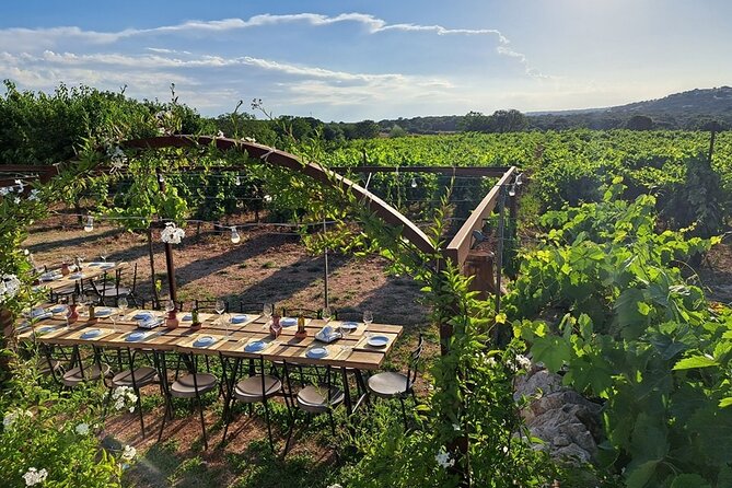 Wine Experience: vineyard, wines and food - Getting to Trulli il Castagno