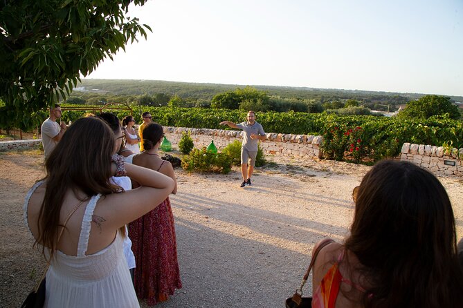 Wine Experience: vineyard, wines and food - What happens if the weather turns bad?