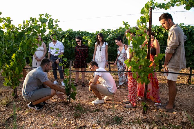 Wine Experience: vineyard, wines and food - Who will enjoy this experience most?