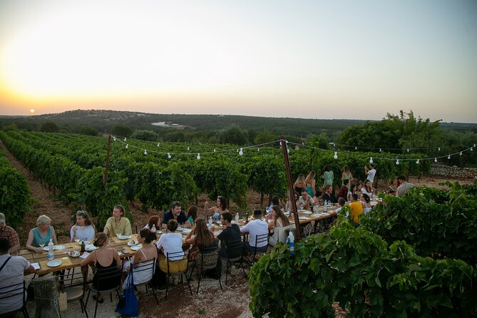 Wine Experience: vineyard, wines and food - Sunset over the vines