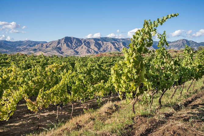 Wine & Food Tasting on Etna's Winery Private Tour - Four hours, with the scenery built into the timing