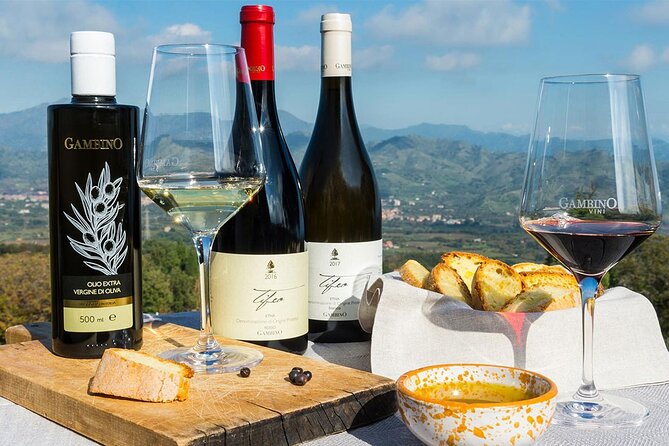 Wine & Food Tasting on Etna's Winery Private Tour - Is $358.68 per person good value?