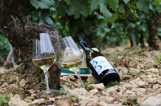 Wine Getaway with Tasting in the Chablis Vineyard - Why the minibus and small group matter