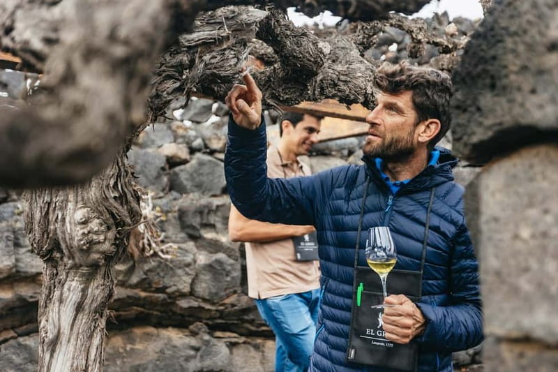 Wine Lovers: Wine Tasting Tour at El Grifo Bodega Lanzarote - Key things to know before visiting El Grifo