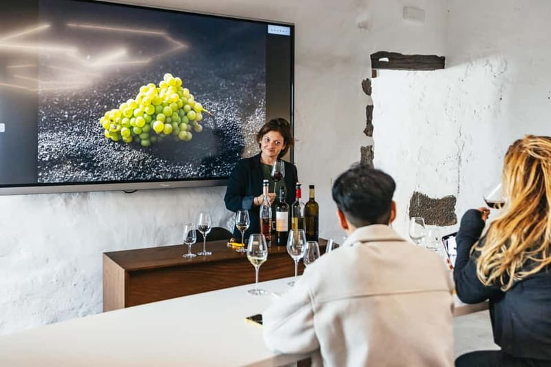 Wine Lovers: Wine Tasting Tour at El Grifo Bodega Lanzarote - Why Lanzarote wine is worth understanding