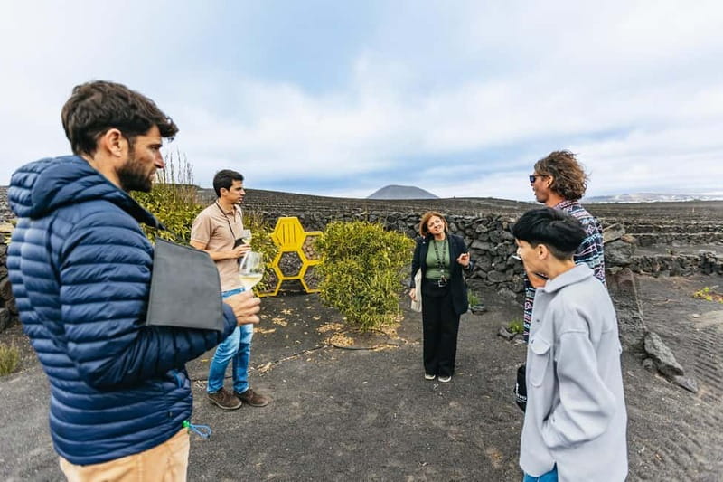 Wine Lovers: Wine Tasting Tour at El Grifo Bodega Lanzarote - The vineyard walk and volcanic stone paths