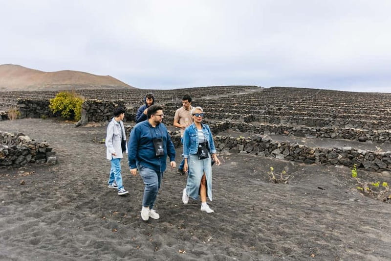 Wine Lovers: Wine Tasting Tour at El Grifo Bodega Lanzarote - What makes the guides important