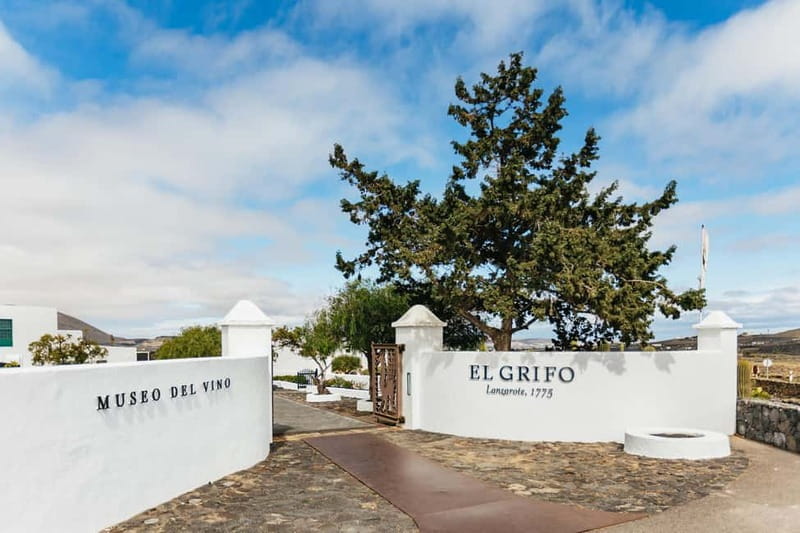 Wine Lovers: Wine Tasting Tour at El Grifo Bodega Lanzarote - Practical advice for a smoother visit