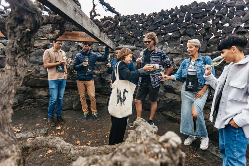 Wine Lovers: Wine Tasting Tour at El Grifo Bodega Lanzarote - Should you book El Grifo?