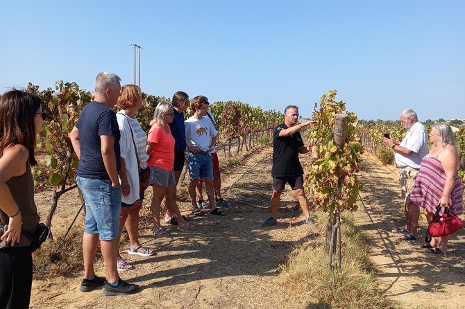 Wine Lovers: Winery Tour w/ Tasting & Tapas (Albufeira/Vilamoura) - Key points to know before booking