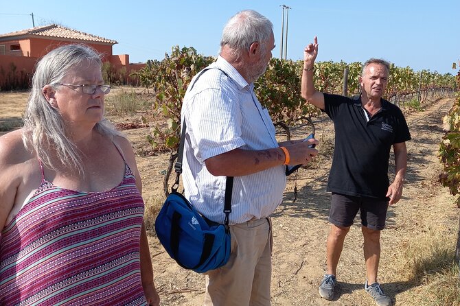 Wine Lovers: Winery Tour w/ Tasting & Tapas (Albufeira/Vilamoura) - Walking through the vines and winery