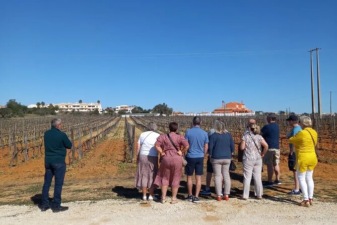 Wine Lovers: Winery Tour w/ Tasting & Tapas (Albufeira/Vilamoura) - Who will enjoy this experience most?