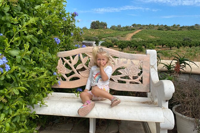 Wine Not Algarve Winery Tour - Quinta dos Vales, wine and sculpture