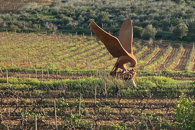 Wine Not Algarve Winery Tour - Who should book this Algarve wine outing