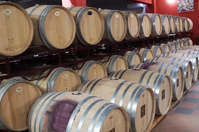Wine Roads Private Day Tour: Corinth - Ancient Nemea & Wine Tasting - Acrocorinth and the best photo stop