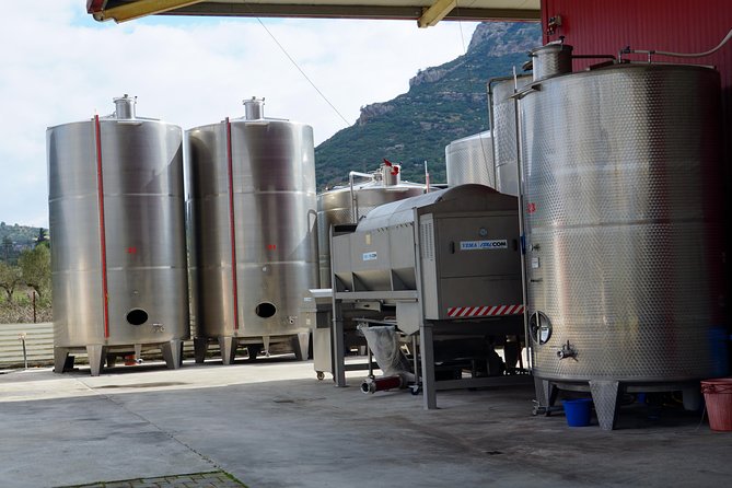Wine Roads Private Day Tour: Corinth - Ancient Nemea & Wine Tasting - What you pay, and what the price buys you