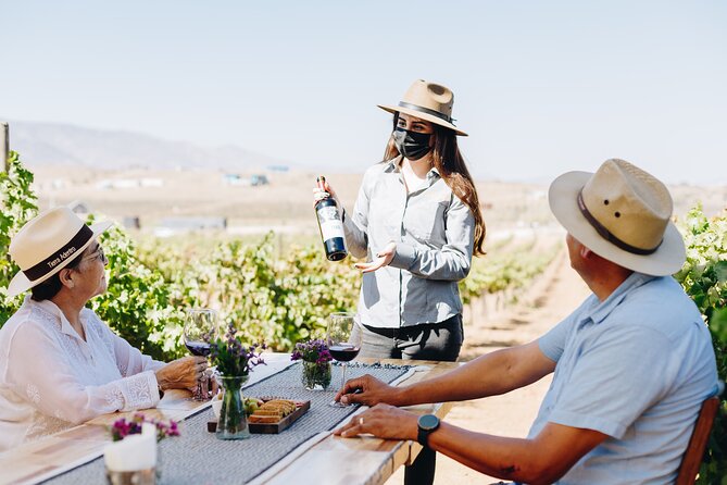 Wine Tasting Among Vineyards with Panoramic Views of the Valley - Key points at a glance