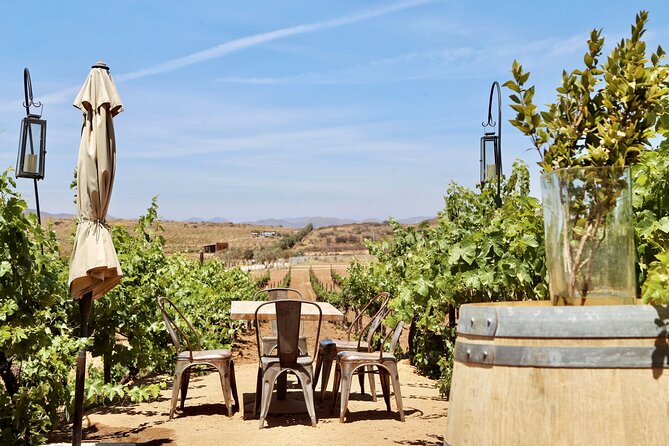 Wine Tasting Among Vineyards with Panoramic Views of the Valley - A regional cheeseboard keeps the tasting grounded