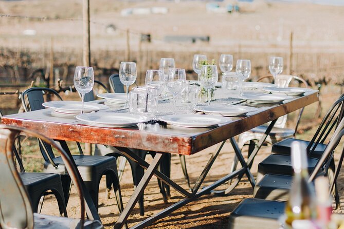 Wine Tasting Among Vineyards with Panoramic Views of the Valley - Who will enjoy this most?
