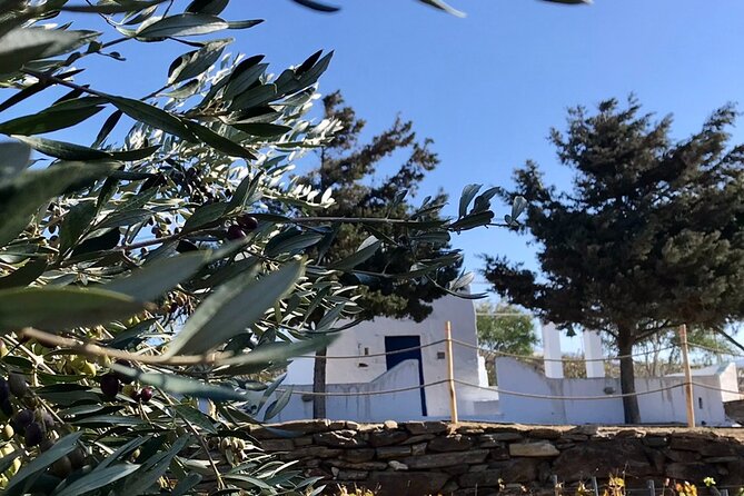 Wine Tasting and Tour in Saint Anna Winery in Naxos - Price and value at $72.59