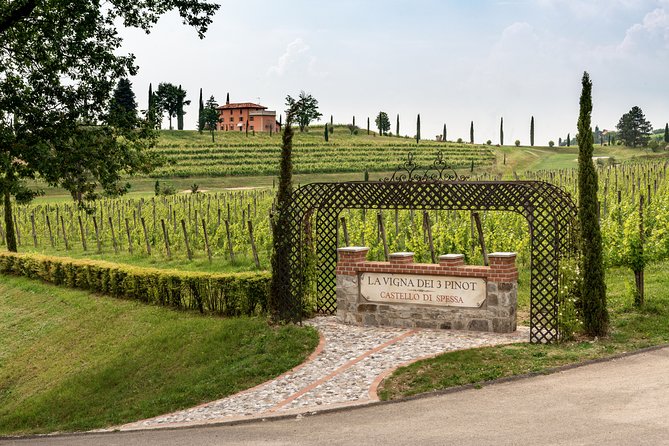 Wine tasting and visit to the Medieval wine cellar in Friuli - Key points at a glance
