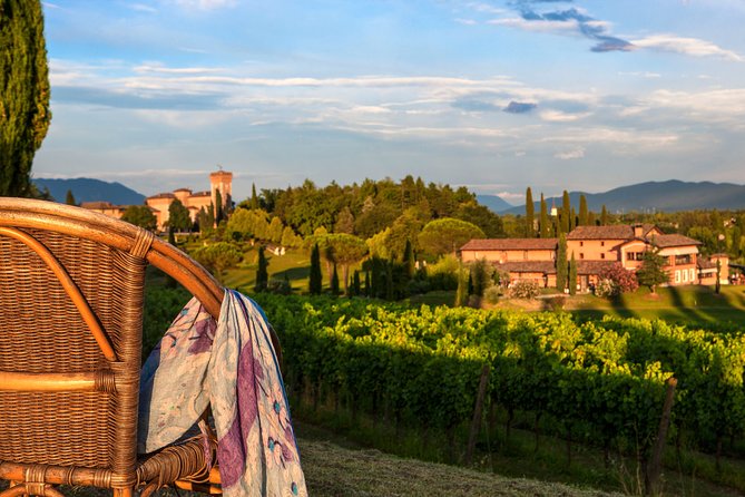 Wine tasting and visit to the Medieval wine cellar in Friuli - The 18th-century salons and tasting room