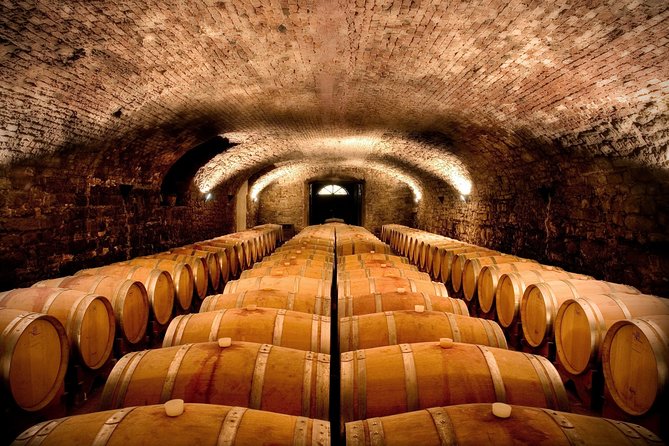 Wine tasting and visit to the Medieval wine cellar in Friuli - Five wines from Collio and Isonzo