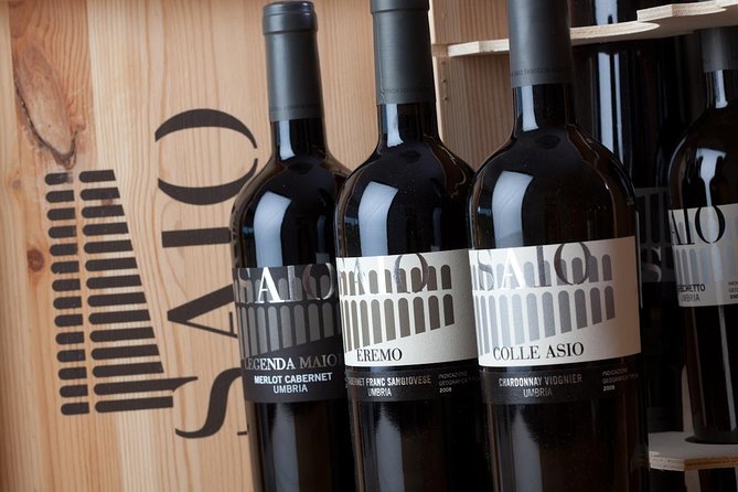 Wine tasting and walk in the Vineyard of Assisi - Booking tips for a smoother visit
