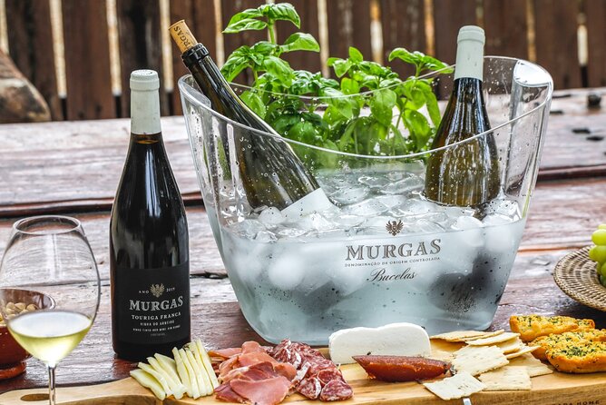 Wine tasting at Quinta das Murgas - Key points at a glance