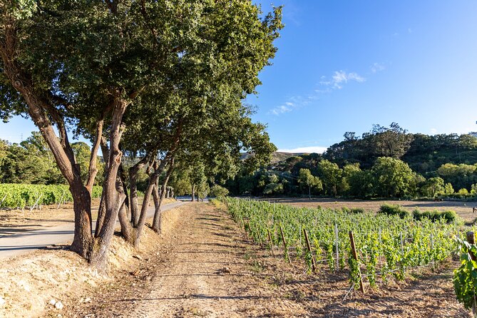 Wine tasting at Quinta das Murgas - Regional tapas make the tasting more useful