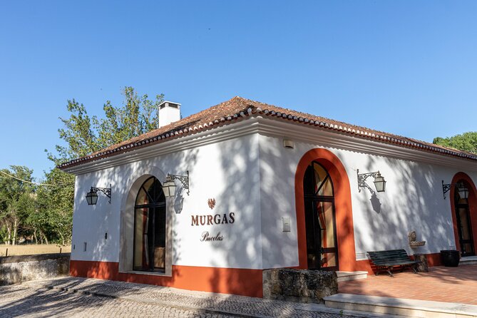 Wine tasting at Quinta das Murgas - Comparing three Murgas DOC Bucelas vintages