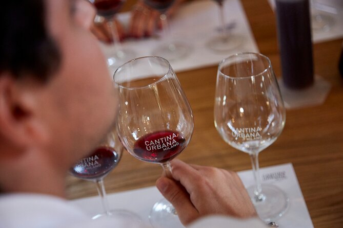 Wine Tasting Experience - Urban Cellar - What happens during the 90-minute visit