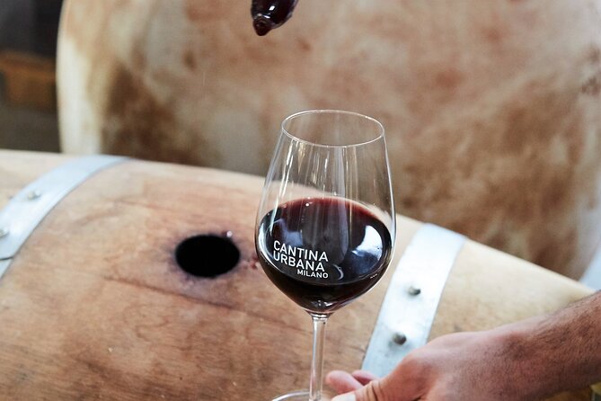 Wine Tasting Experience - Urban Cellar - A relaxed stop away from central Milan