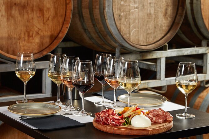 Wine Tasting Experience - Urban Cellar - Steel tanks, amphorae, and barriques