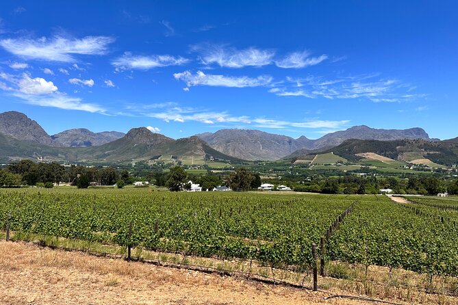 Wine Tasting in Cape's Top Three Winelands Private Tour - Fairview Wine and Cheese