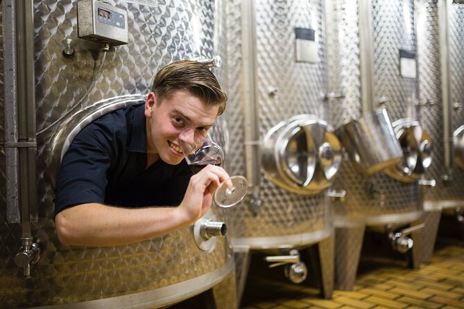 Wine Tasting in the Winery in Kröv - Key points about the Kröv wine tasting