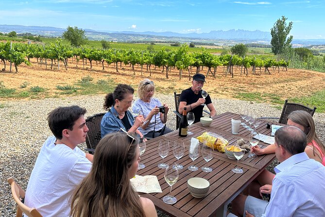 Wine Tasting in Three Boutique Wineries Tour - Max 8 people - Key points to know before booking