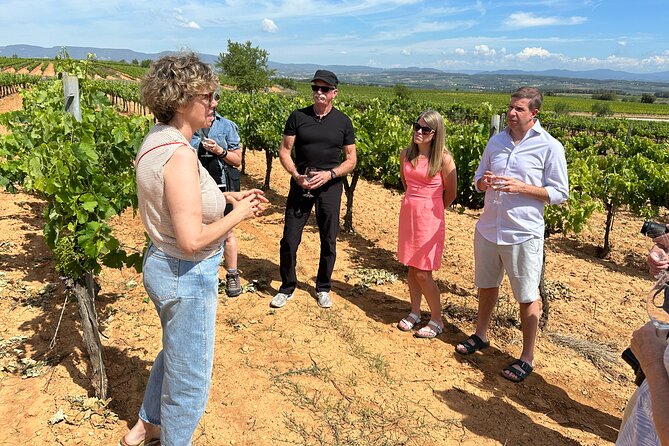Wine Tasting in Three Boutique Wineries Tour - Max 8 people - What the minivan and small group add