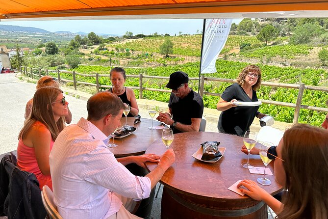 Wine Tasting in Three Boutique Wineries Tour - Max 8 people - How much value do you get for $240.66?