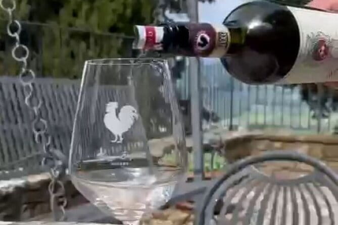Wine tasting in TWO family wineries around Florence - Leaving Florence for Montefioralle