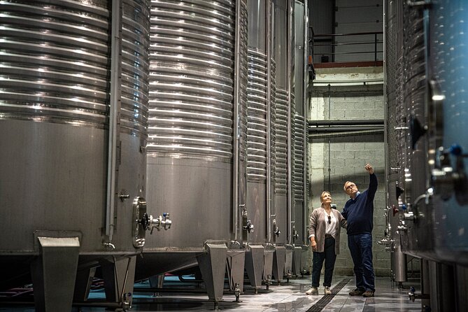 Wine Tasting & Lunch | Quinta de Santa Cristina Vinho Verde - From grape reception to bottling and labeling