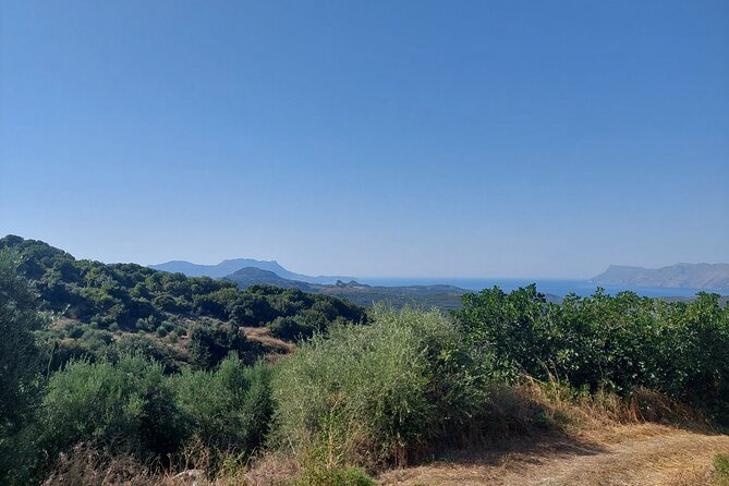Wine Tasting: Meet the Cretan Vineyard at West Chania - What the 90-minute schedule means for your day